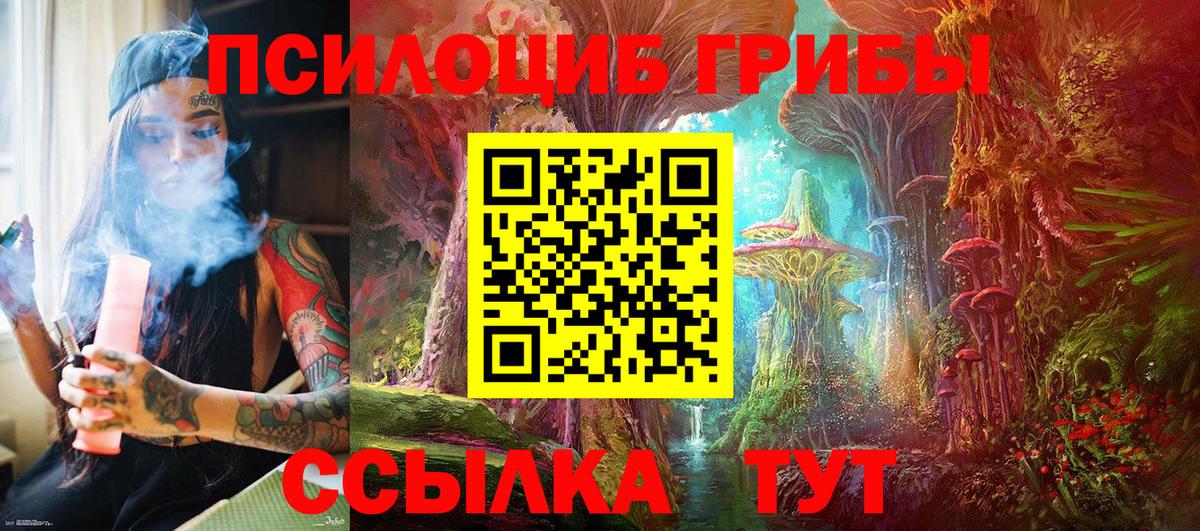 Псилоцибиновые грибы прущие грибы Кашира